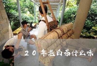 20年老白茶什么味/2023121580694