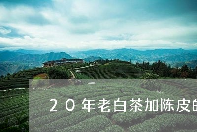 20年老白茶加陈皮的功效与作用/2023111502826