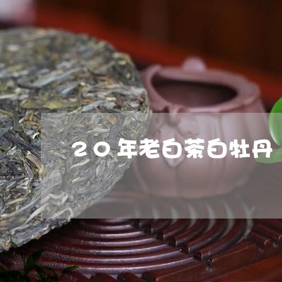 20年老白茶白牡丹/2023120656168