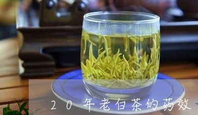 20年老白茶的药效/2023071396259