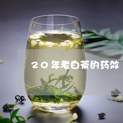 20年老白茶的药效/2023121563737