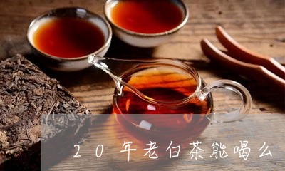 20年老白茶能喝么/2023121593848