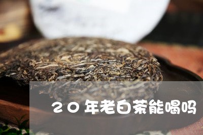 20年老白茶能喝吗/2023121562785