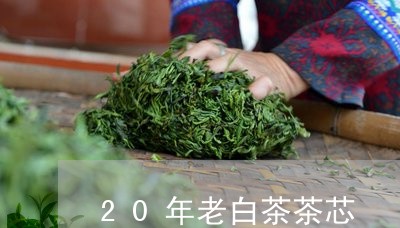 20年老白茶茶芯/2023082605946