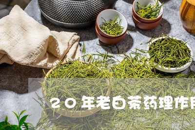 20年老白茶药理作用/2023092727279