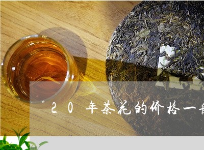 20年茶花的价格一般是多少/2023052617257