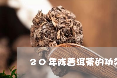 20年陈普洱茶的功效/2023062209614