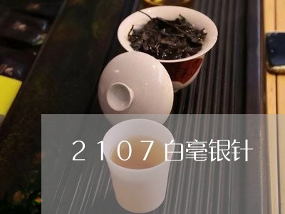 2107白毫银针/2023090738291