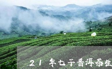 21年七子普洱茶生茶/2023062978382