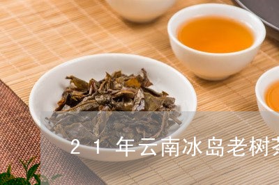 21年云南冰岛老树茶/2023092390681