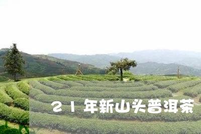 21年新山头普洱茶/2023120573048