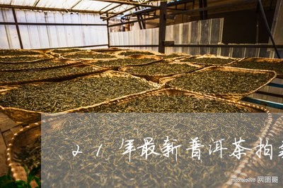 21年最新普洱茶拍卖/2023100728260