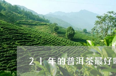 21年的普洱茶最好喝吗/2023110167614