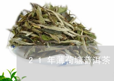 21年薄荷塘普洱茶/2023120584259