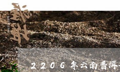 2206年云南普洱茶/2023120649583