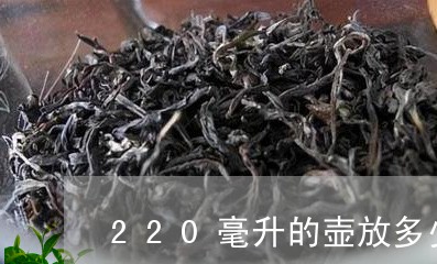 220毫升的壶放多少克普洱/2023052729393