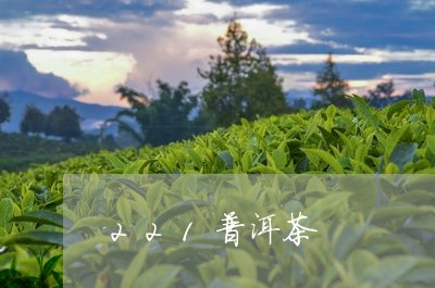 221普洱茶/2023101679491