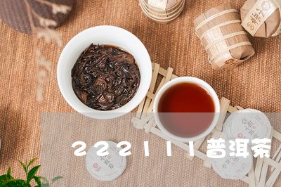 222111普洱茶/2023070989492