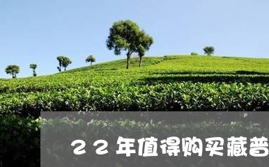 22年值得购买藏普洱茶/2023062320505