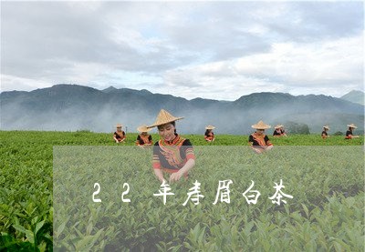 22年寿眉白茶/2023112413835