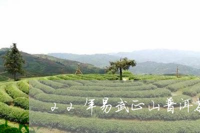 22年易武正山普洱茶生茶价格表/2023060263615