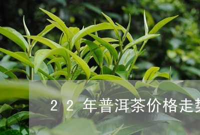 22年普洱茶价格走势/2023080263858