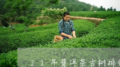 22年普洱茶古树排行前十/2023110294274