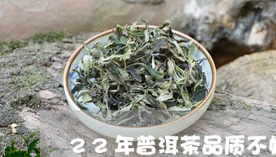 22年普洱茶品质不好/2023100594026