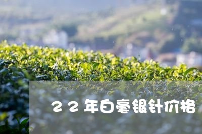 22年白毫银针价格/2023120671594