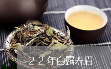 22年白露寿眉/2023112595169