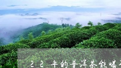 22年的普洱茶能喝不/2023092884935