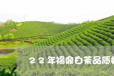 22年福鼎白茶品质如何/2023092271925