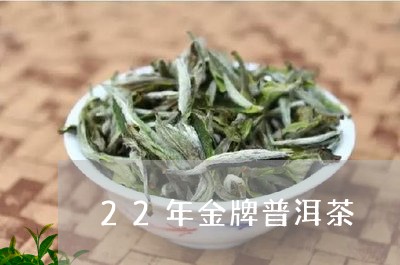 22年金牌普洱茶/2023120472594