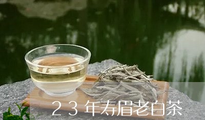 23年寿眉老白茶/2023111594936