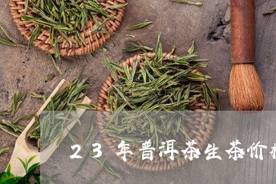 23年普洱茶生茶价格/2023120683826