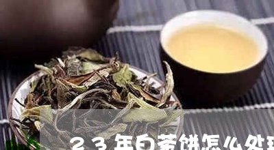 23年白茶饼怎么处理/2023092779485