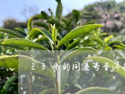 23年的同庆号普洱茶/2023110317359