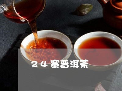 24寨普洱茶/2023042756958