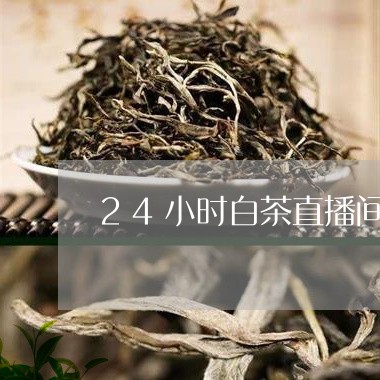 24小时白茶直播间/2023071383836