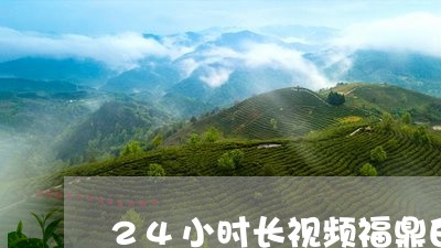 24小时长视频福鼎白茶传承演绎/2023062919380