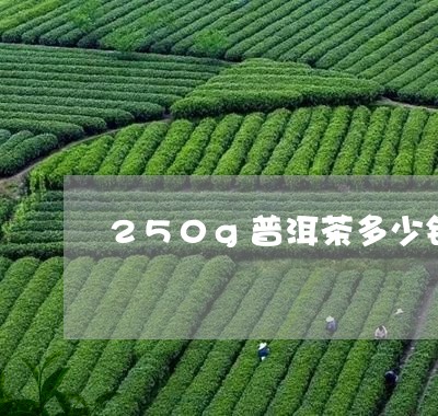 250g普洱茶多少钱/2023072309492