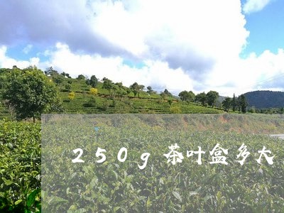 250g茶叶盒多大/2023042585049