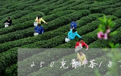 250克普洱茶18万/2023100657047