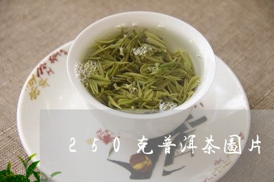 250克普洱茶图片/2023071068593