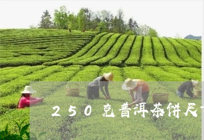 250克普洱茶饼尺寸/2023080342605