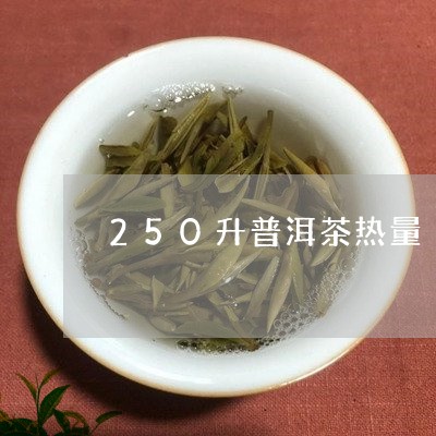 250升普洱茶热量/2023091305150