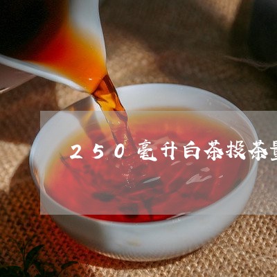 250毫升白茶投茶量/2023092794269