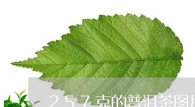 257克的普洱茶图片/2023062313925