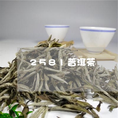 2581普洱茶/2023082666149