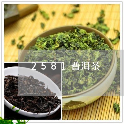 2581普洱茶/2023110352503